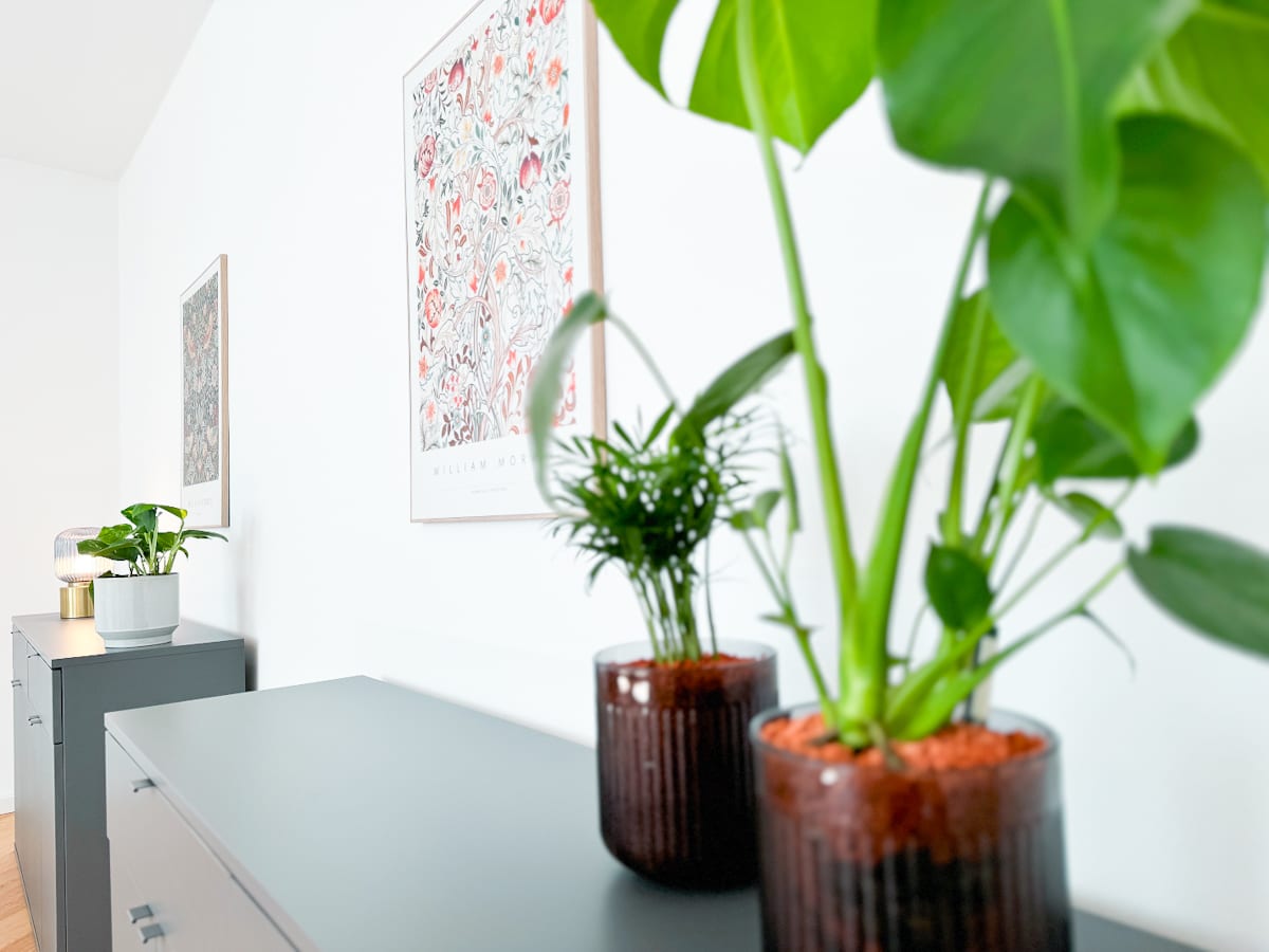 Praxisraum München | Maxvorstadt | Raum 4 - Pflanzen und Artwork